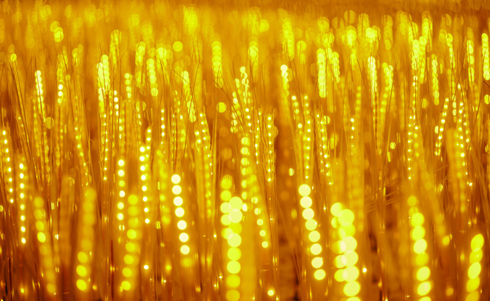 "ILLUMINARIUM. Магія світла" на ВДНГ