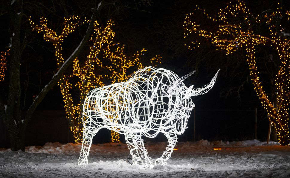 "ILLUMINARIUM. Магія світла" на ВДНГ