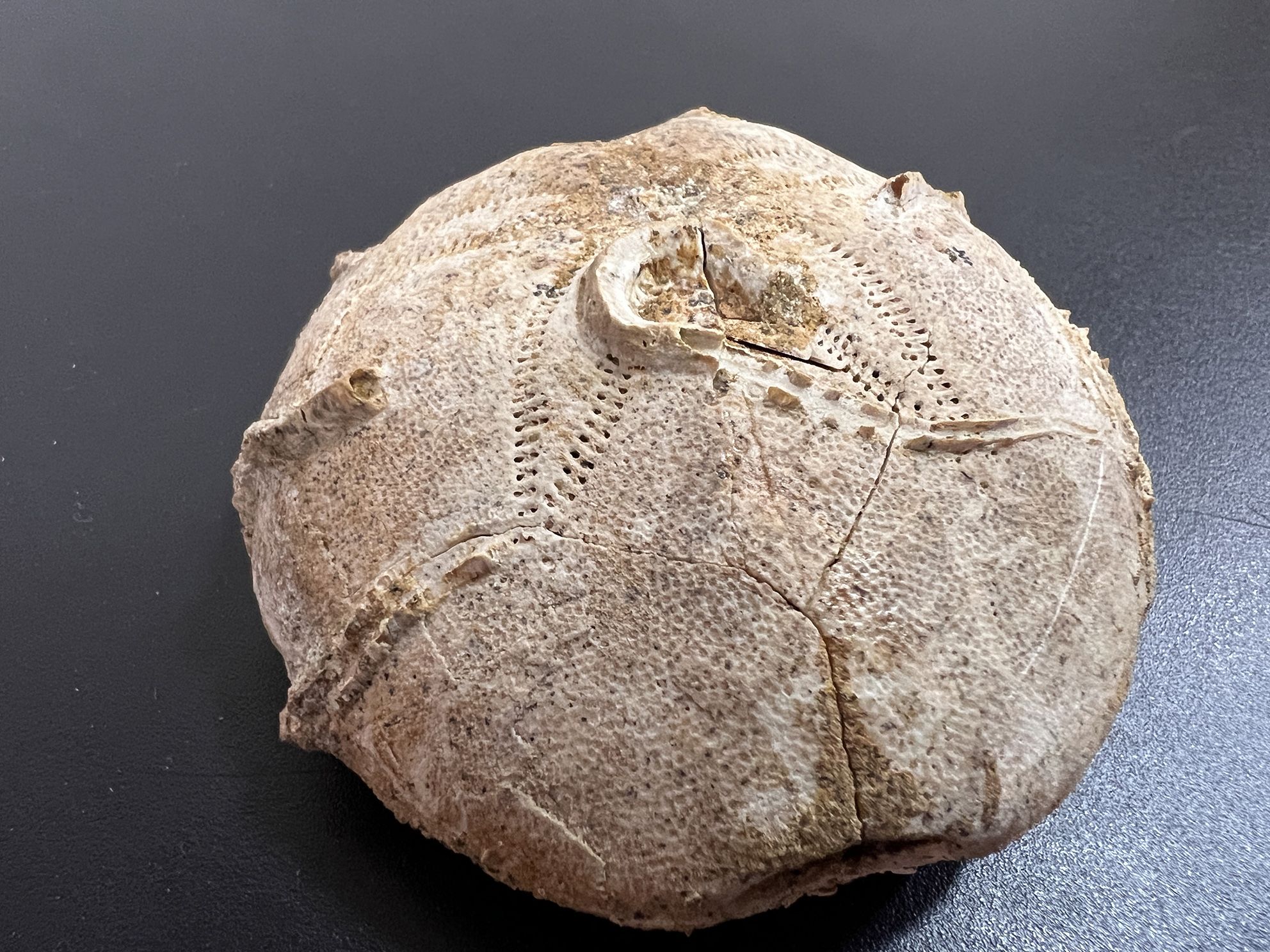 Київська митниця не дала вивезти за кордон давні цінності