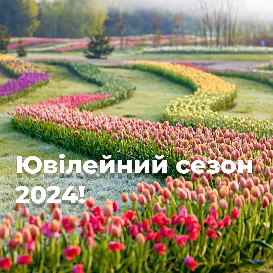 Коли в Добропарку розпочнеться сезон тюльпанів: розклад сезону