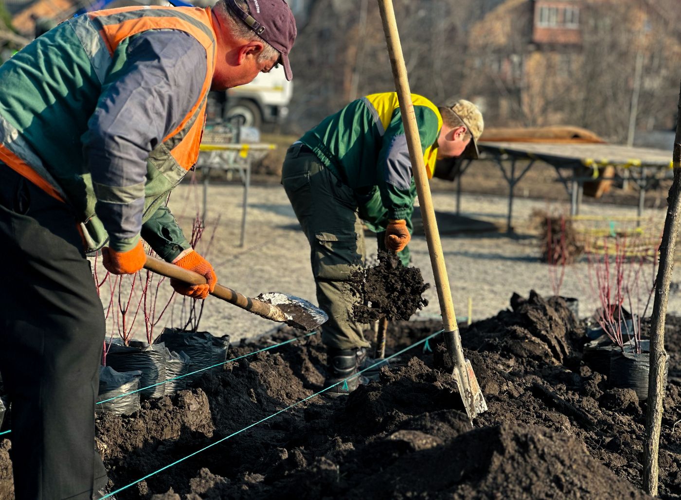 У Солом'янському парку висадили майже 200 дерев і кущів