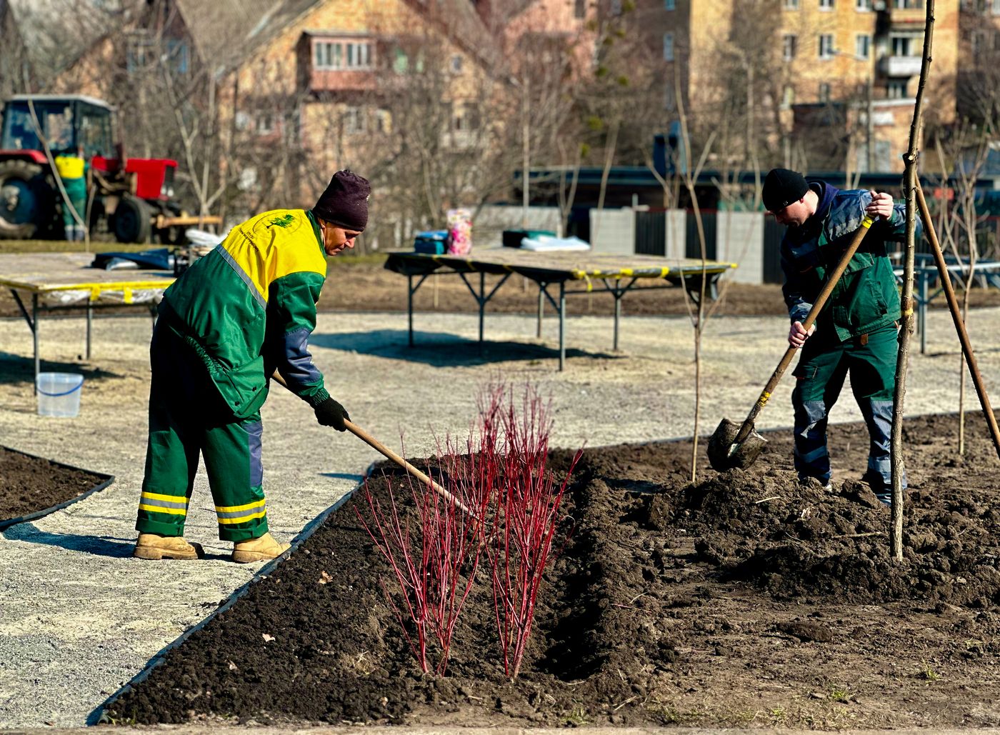 У Солом'янському парку висадили майже 200 дерев і кущів