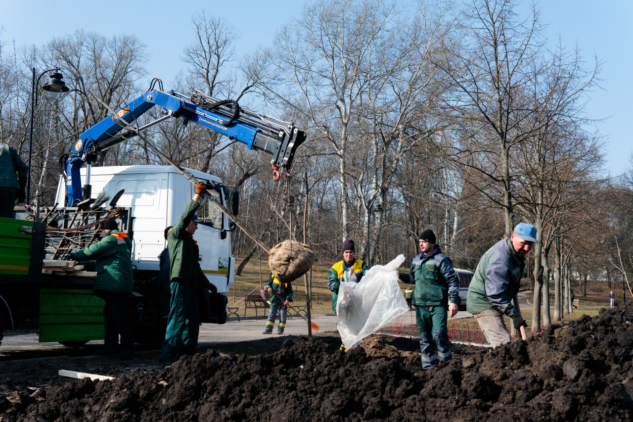 У Солом'янському парку висадили майже 200 дерев і кущів