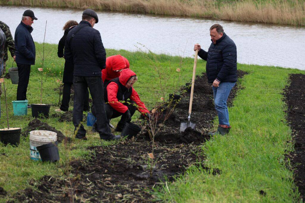У музеї-садибі на Київщині висадили півсотні екзотичних дерев