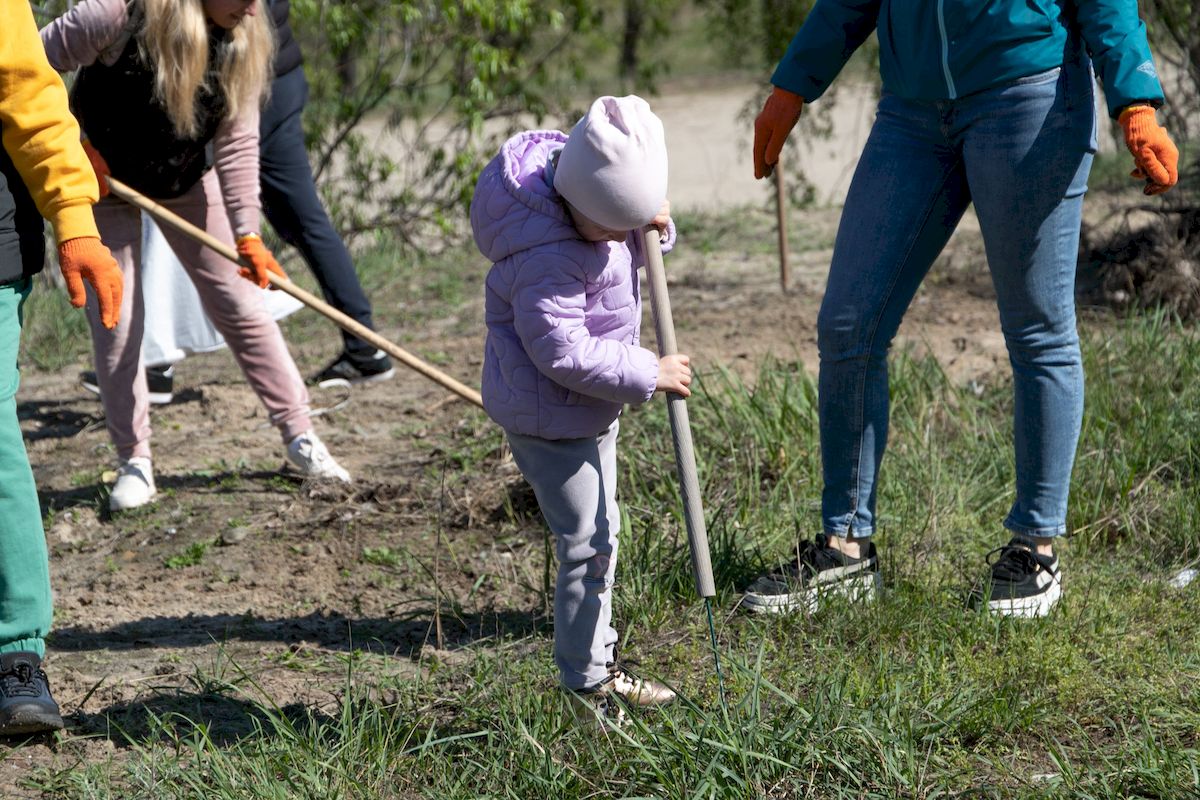 Як у Києві пройшла загальноміська толока