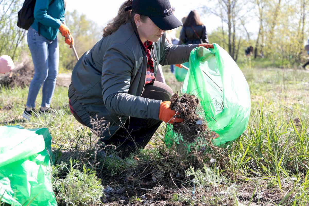 Як у Києві пройшла загальноміська толока