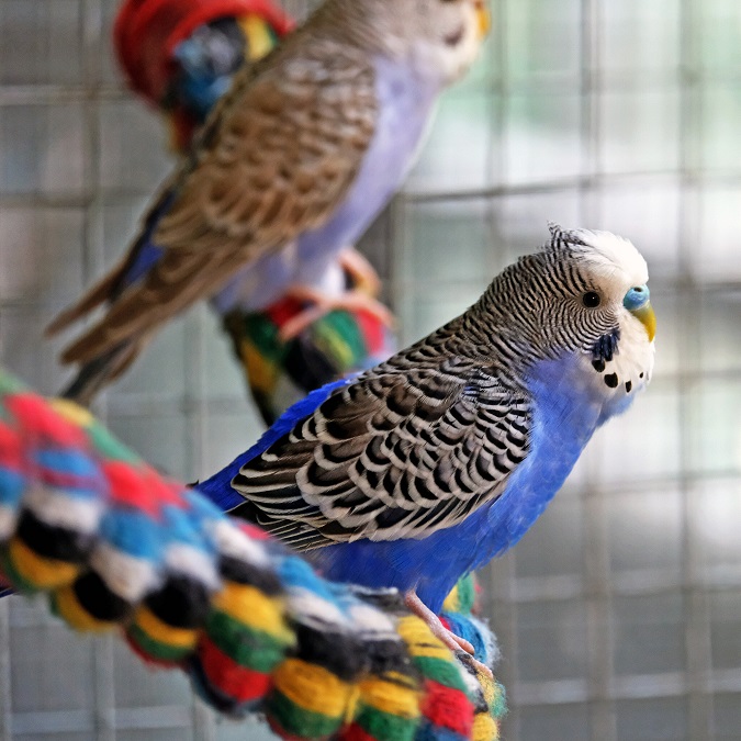 Фото: zoo.kyiv.ua