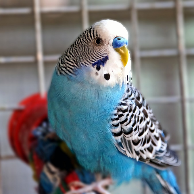 Фото: zoo.kyiv.ua