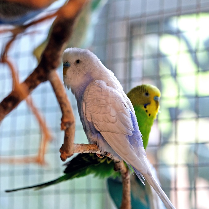 Фото: zoo.kyiv.ua