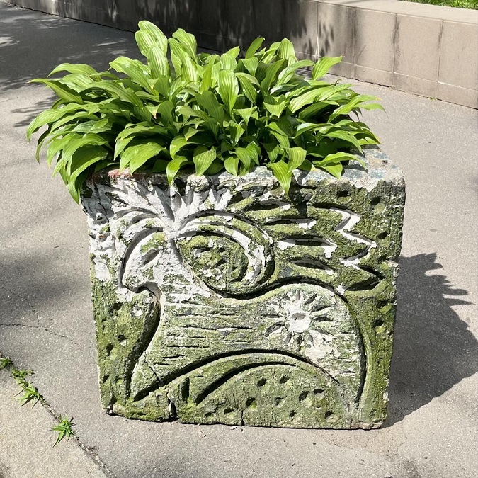 клумба в Києві