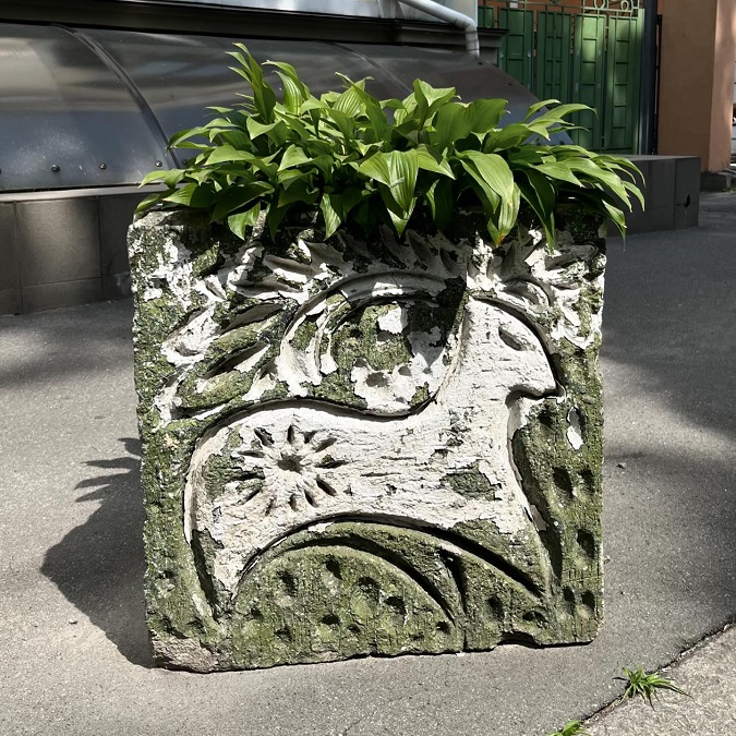 клумба в Києві