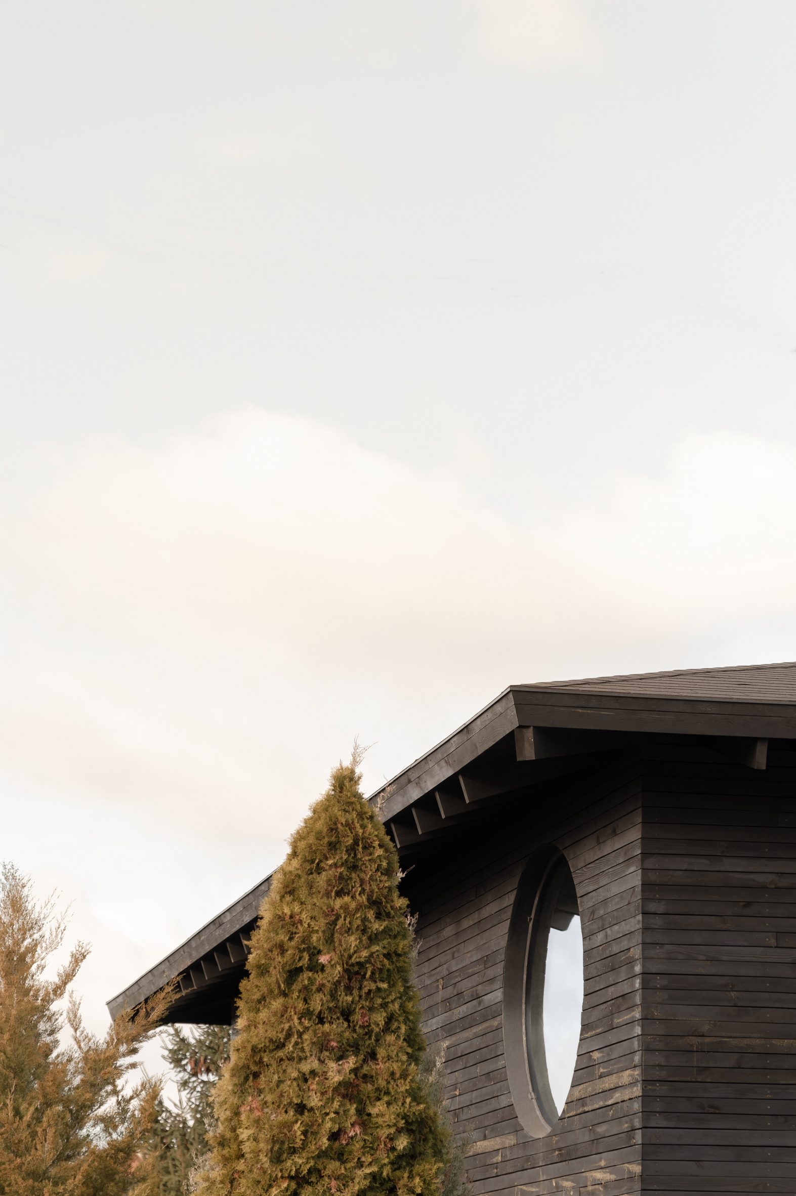 Будинок у японському стилі під Києвом