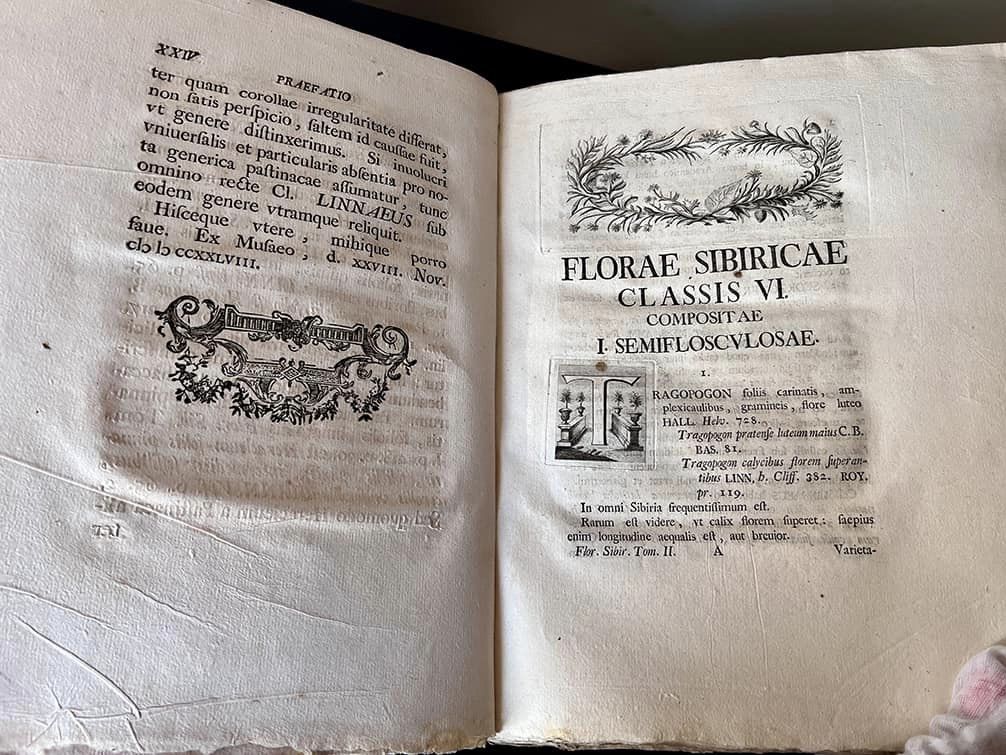 старовинна книга