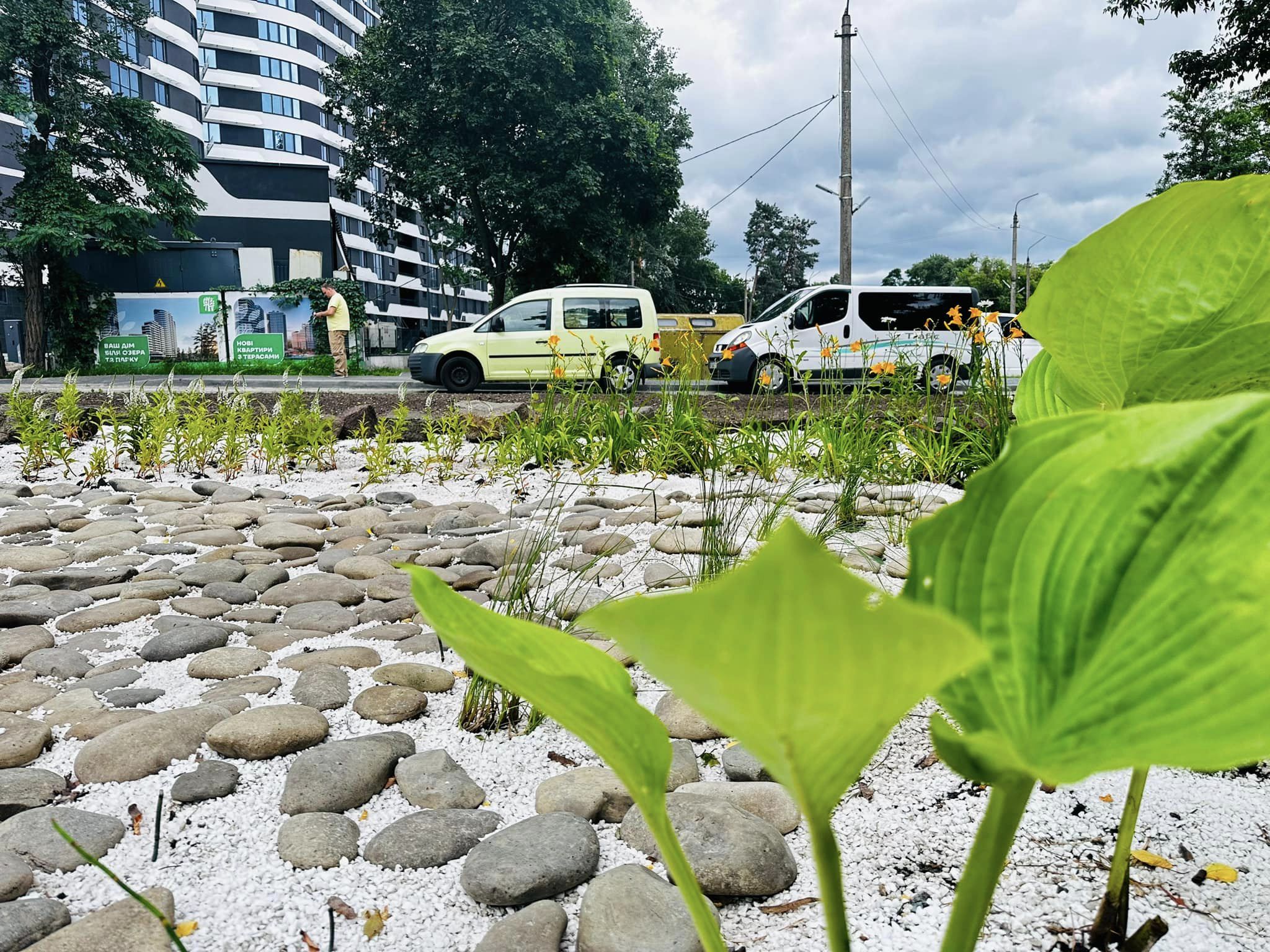 дощовий садок