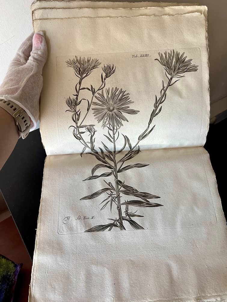 старовинна книга