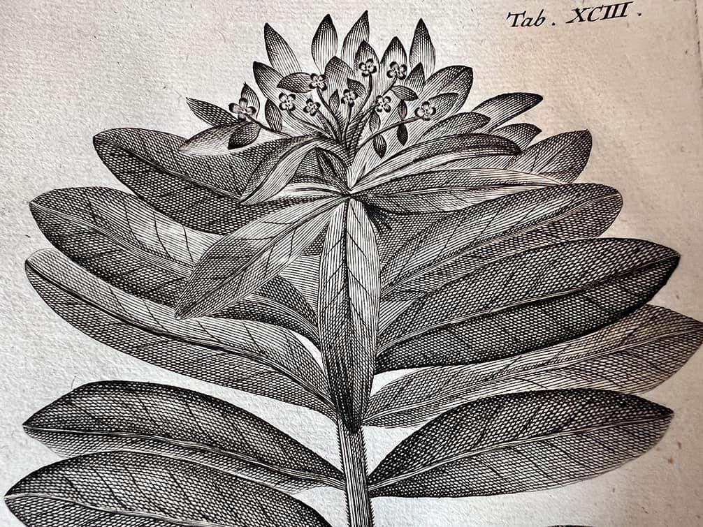 старовинна книга