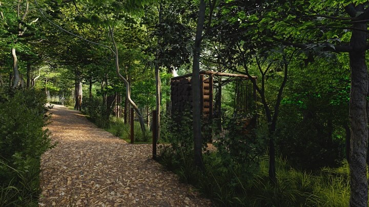 Терапевтичний сад