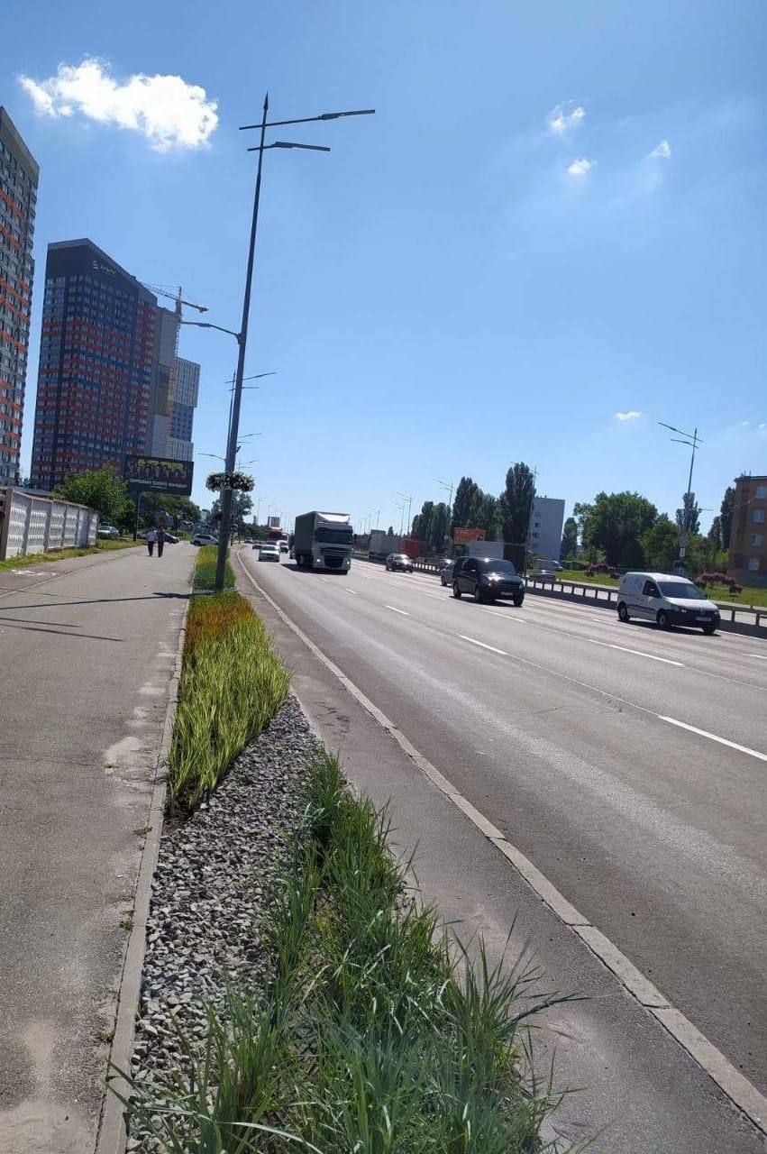 багаторічні трави на Бажана