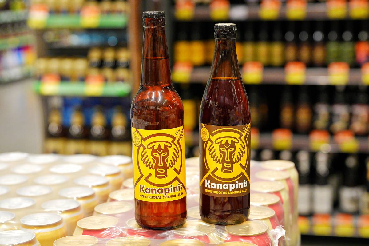 Пивний фестиваль у NOVUS: на що звернути увагу