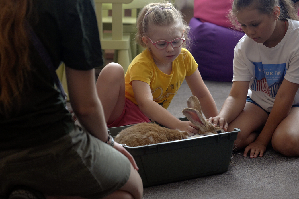 тварини в Охматдиті