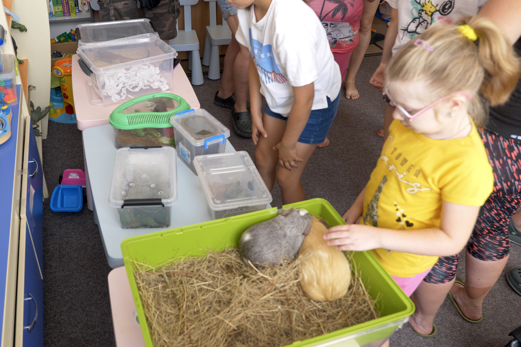 тварини в Охматдиті