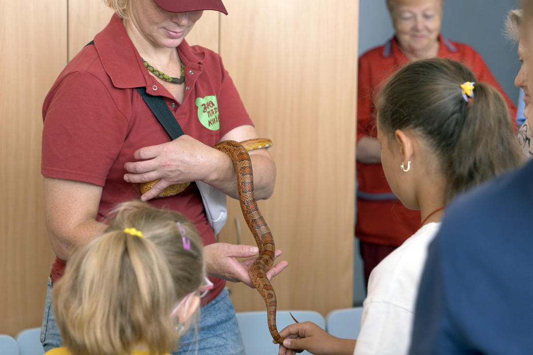 тварини в Охматдиті