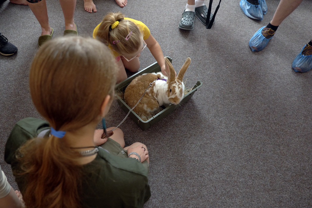 тварини в Охматдиті