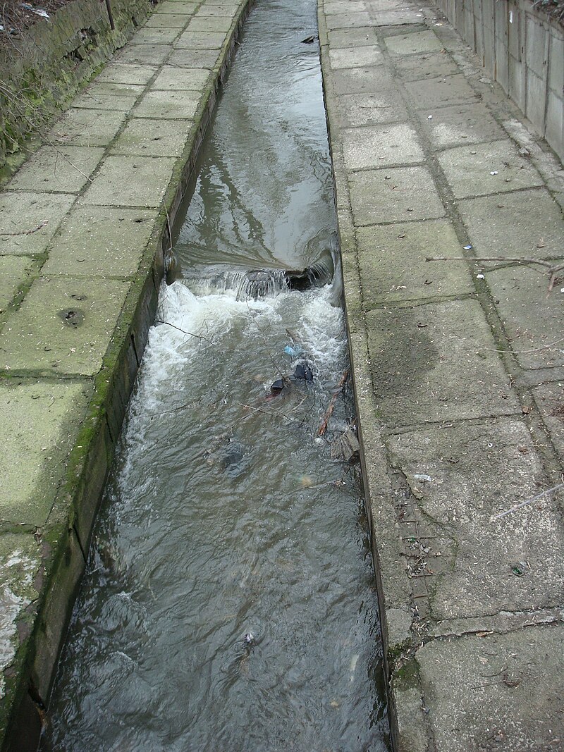 Фото: Wikipedia.org