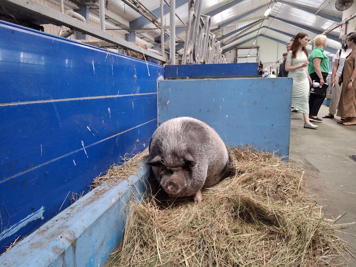тварини в Межигір'ї