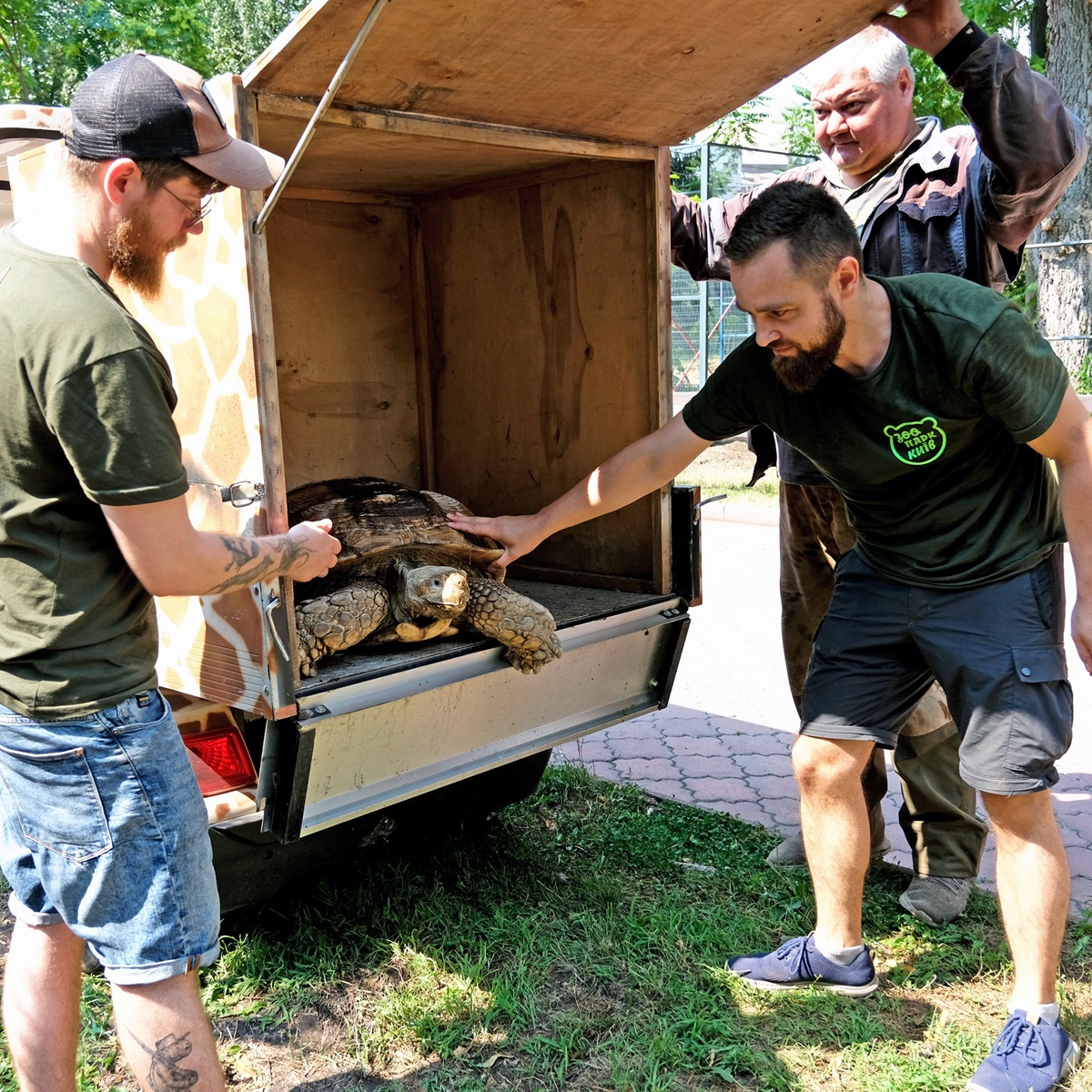 Черепахи в Київському зоопарку