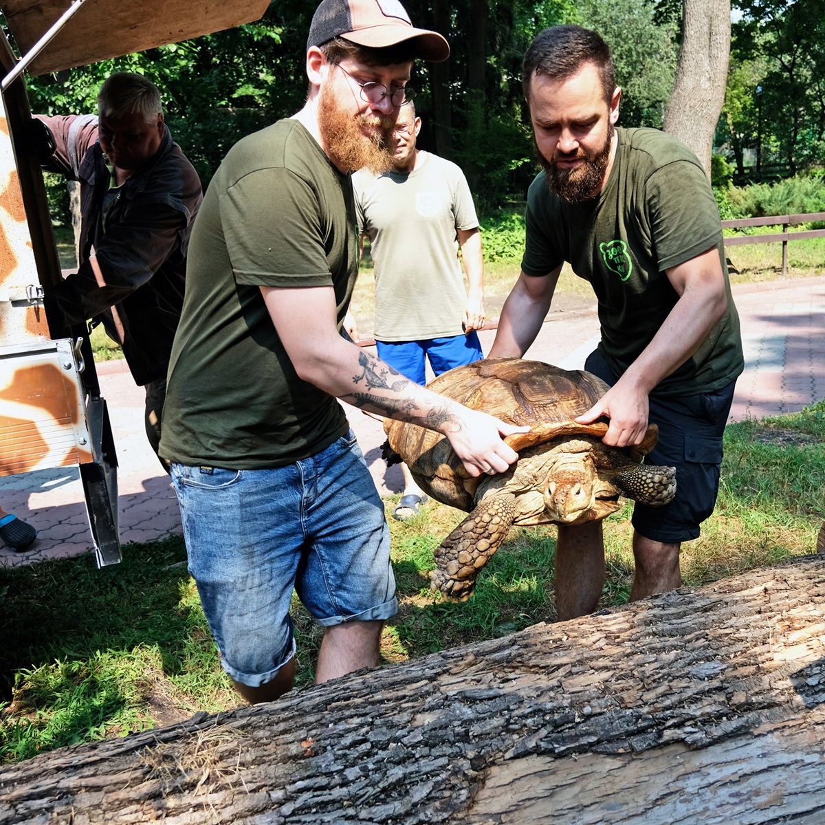 Черепахи в Київському зоопарку