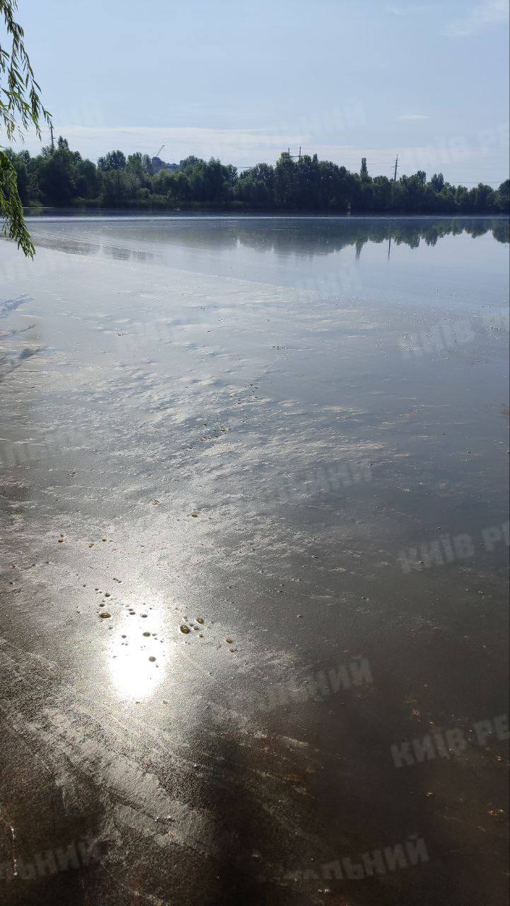 Озеро Тягле вкрилося зеленою плівкою