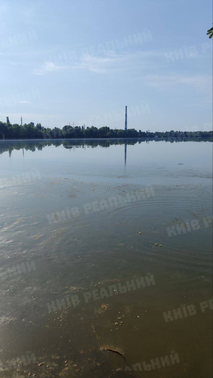 Озеро Тягле вкрилося зеленою плівкою