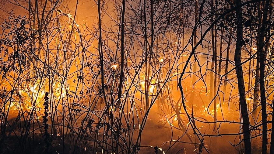 пожежа в Чорнобильській зоні