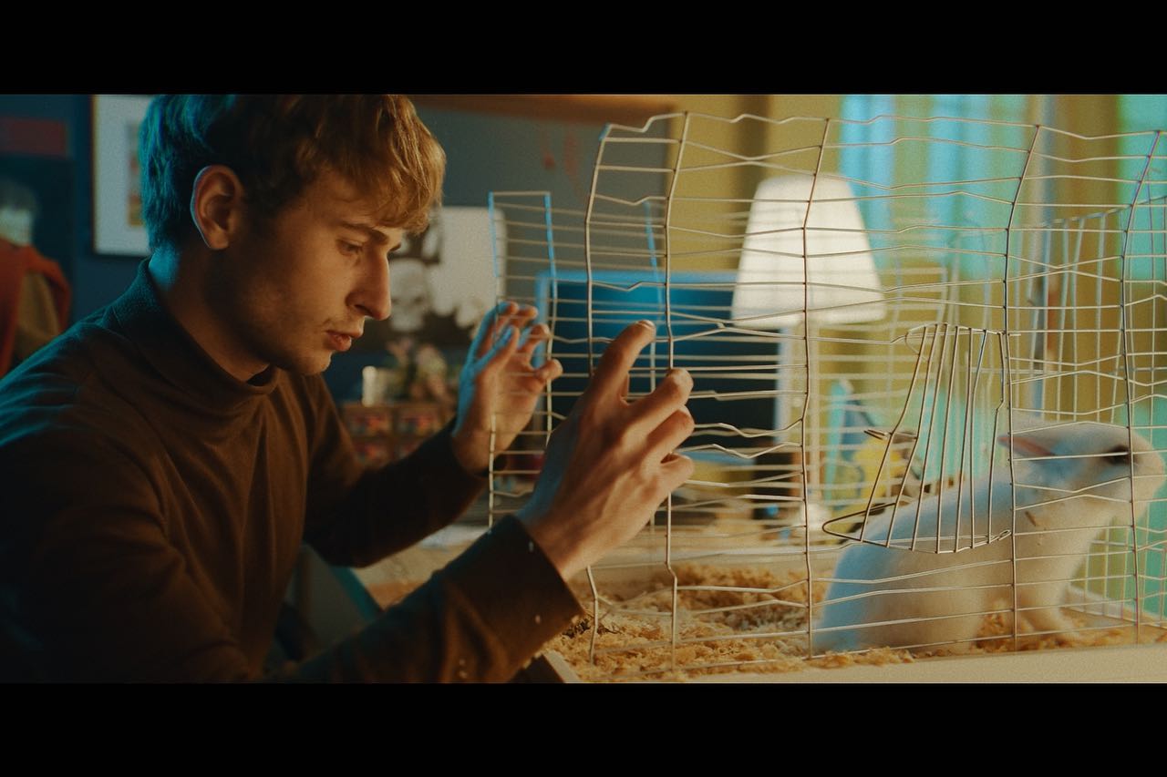 Війна очима тварин