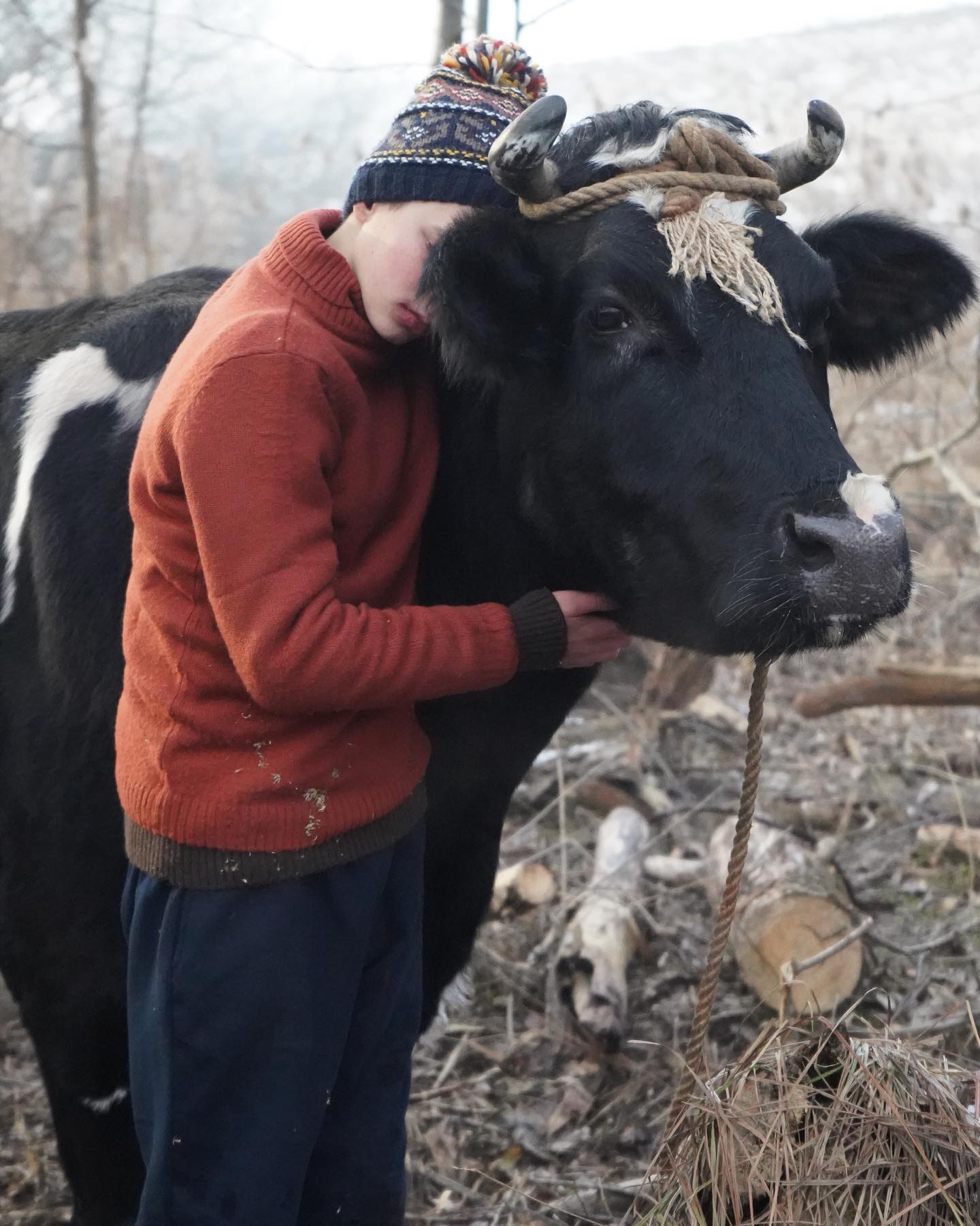 Війна очима тварин