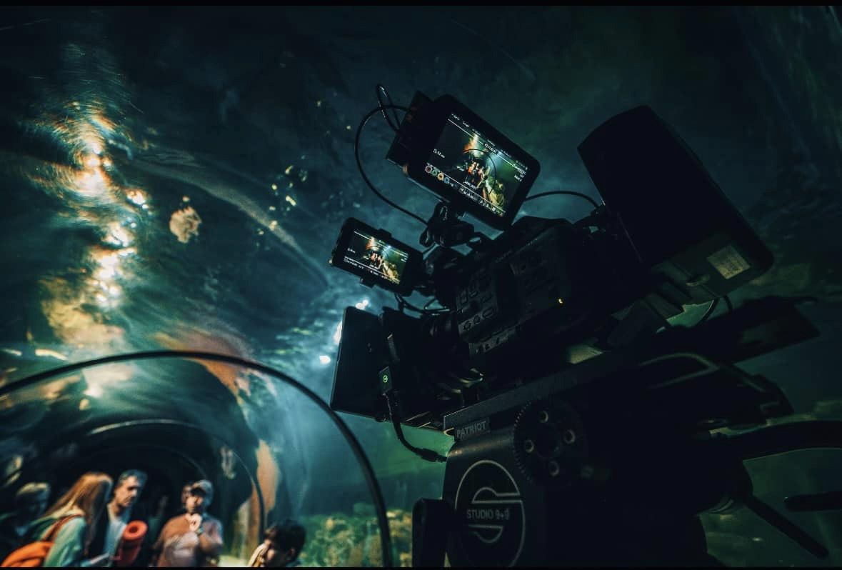 Війна очима тварин