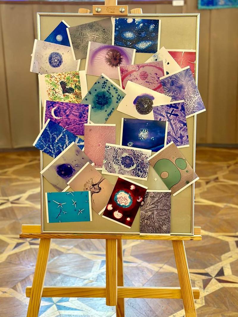 У Києві відкрилась виставка Невидиме мистецтво. Цитологія в кадрі