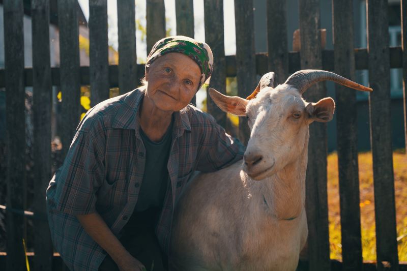 Війна очима тварин