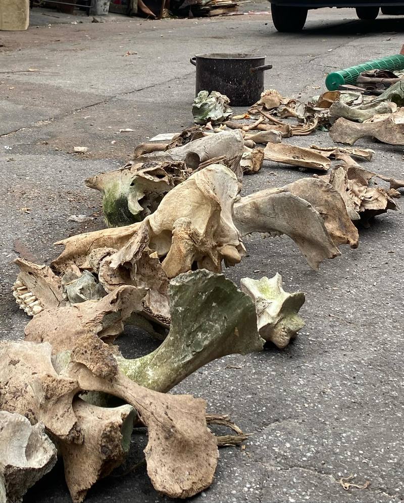 Активісти перетворюють звалище на Подолі на дзен-парк