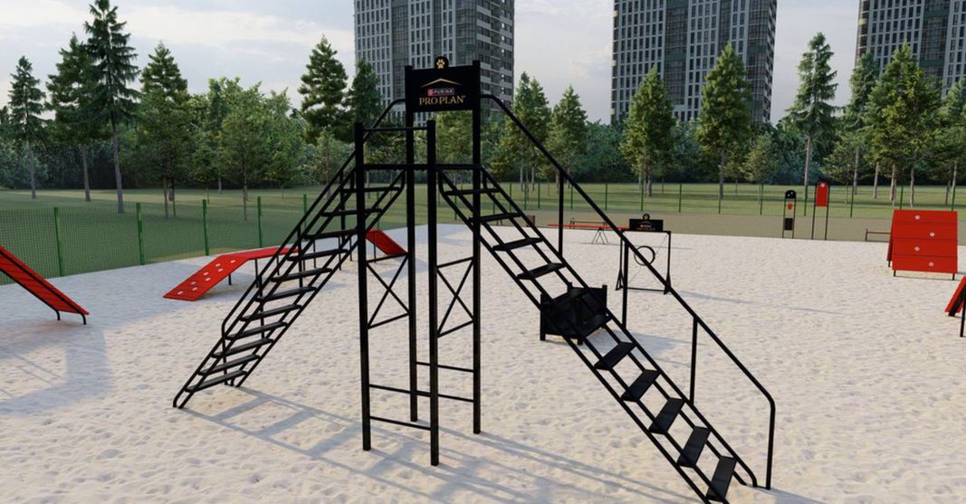 майданчик для собак