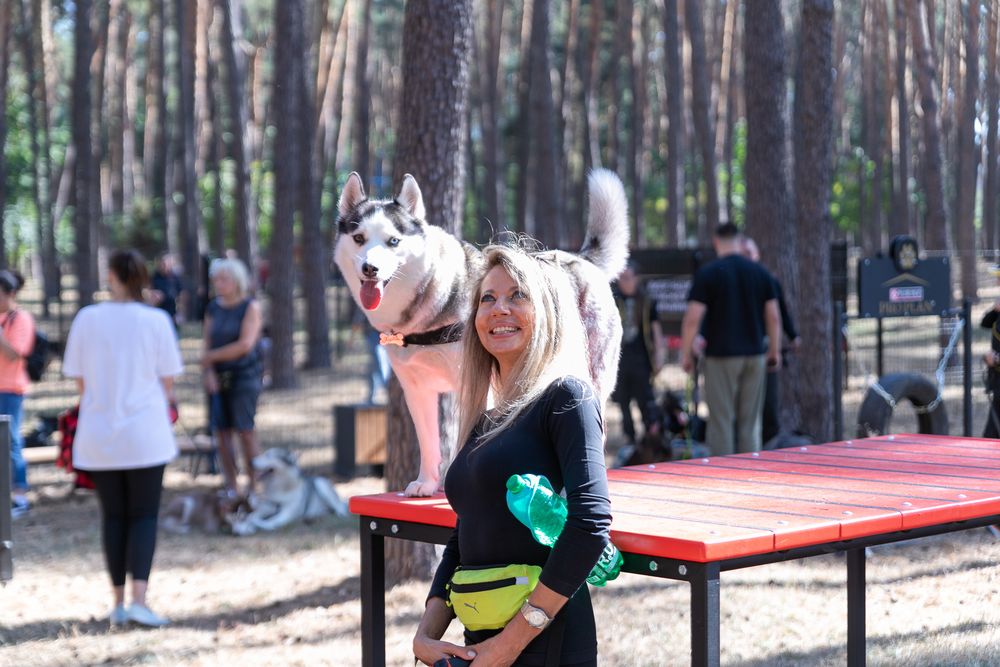 майданчик для собак