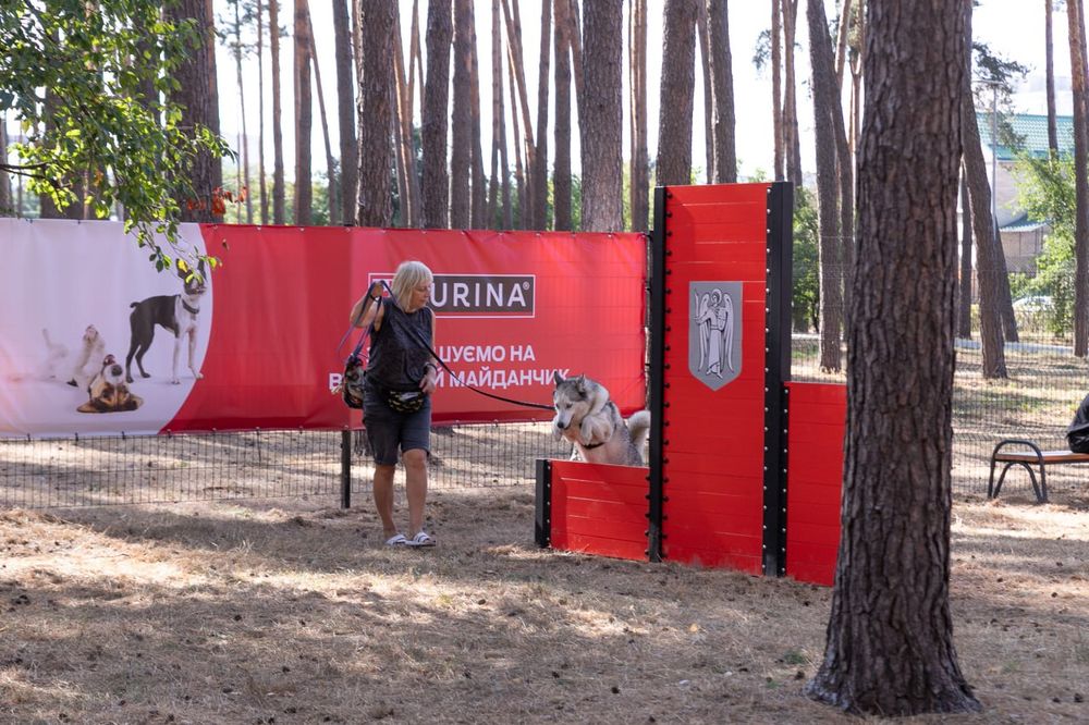 майданчик для собак