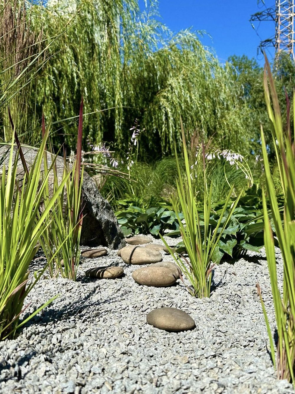 дощовий садок