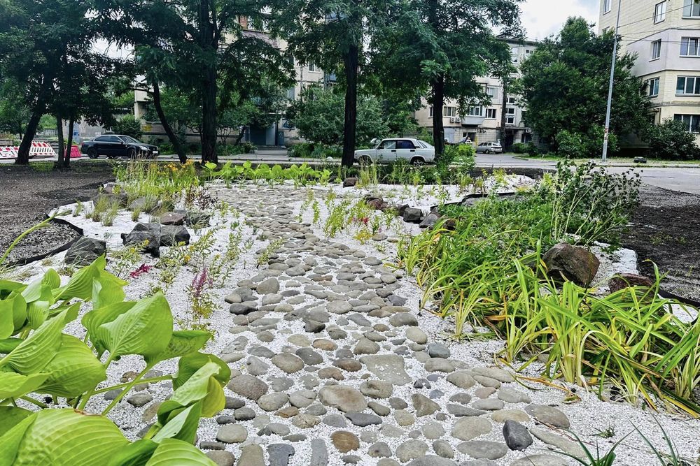 дощовий садок