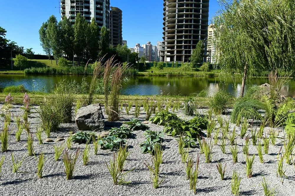 дощовий садок