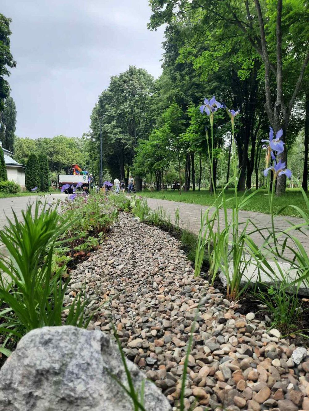 дощовий садок