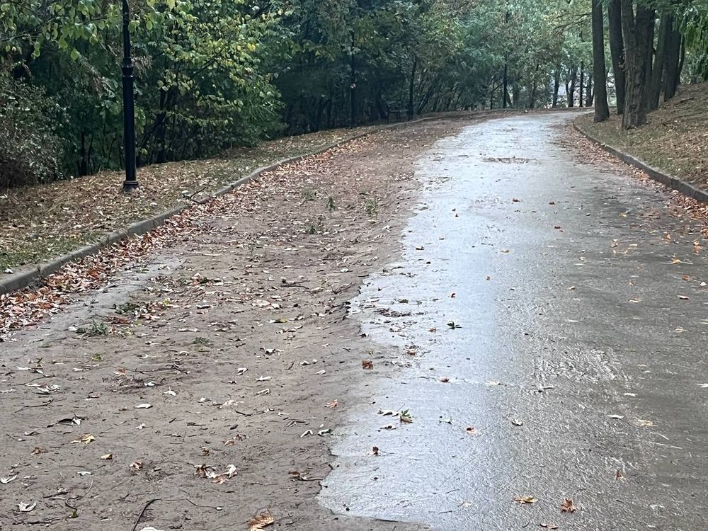 Солом'янський парк