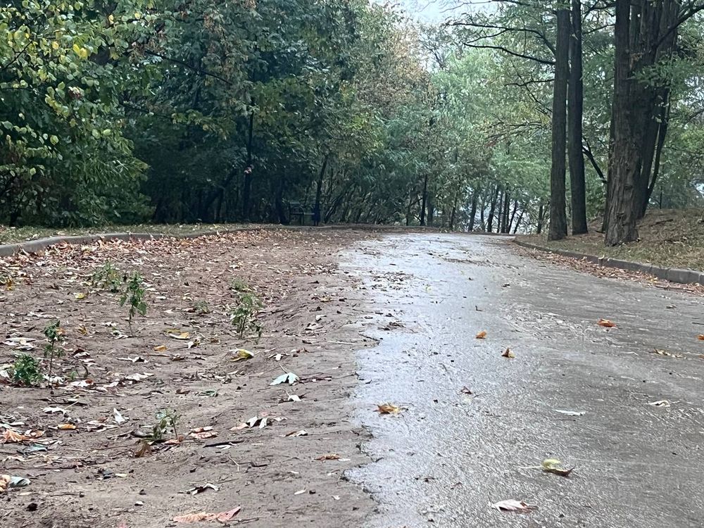 Солом'янський парк