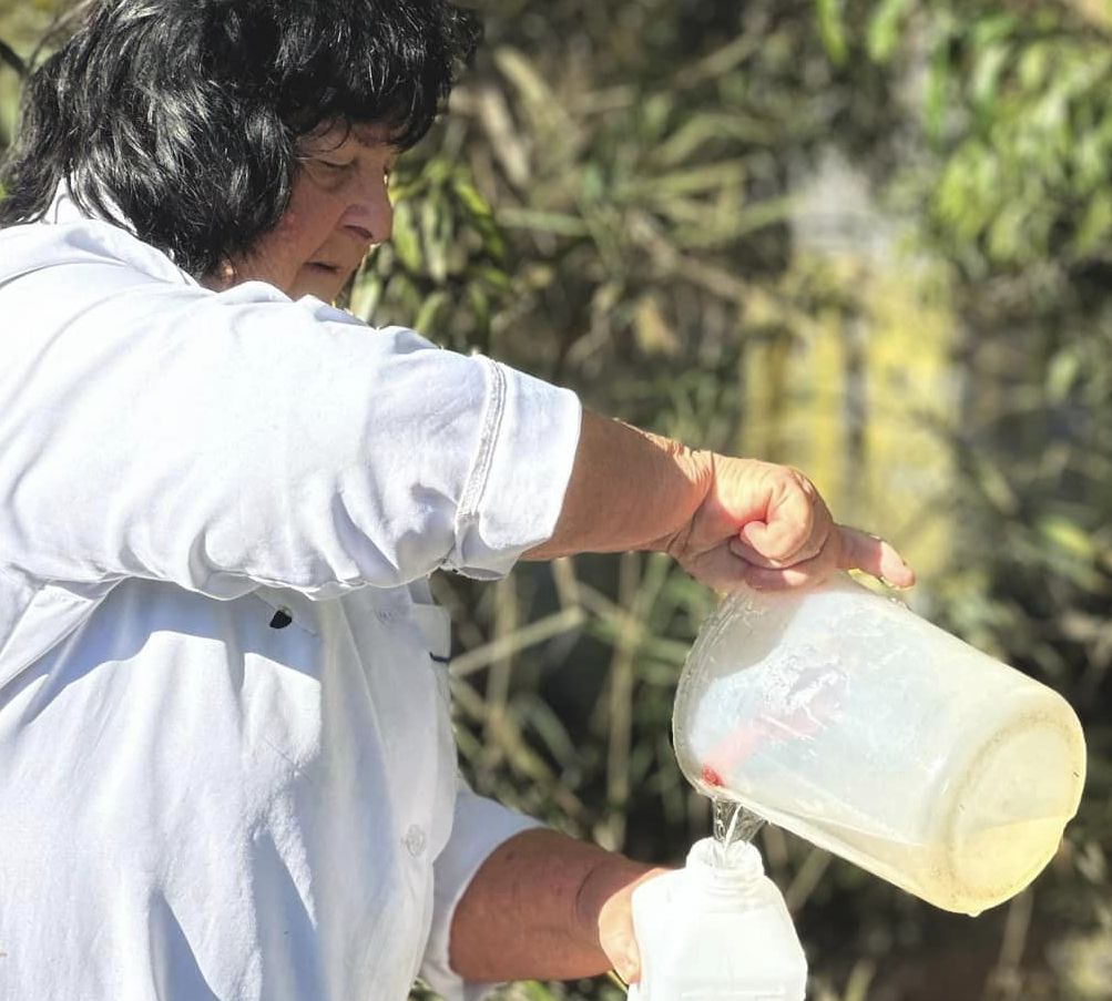 забруднення Совських ставків